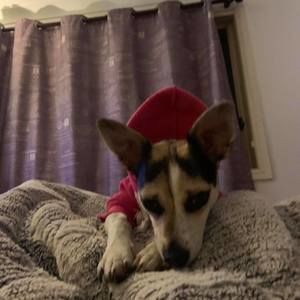 Meet your Posher, Junghwa